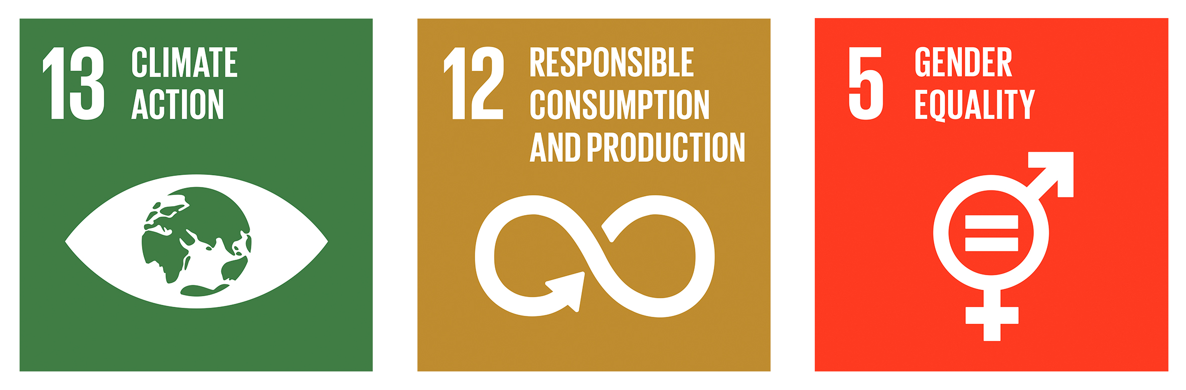 Sustainable Development Goals