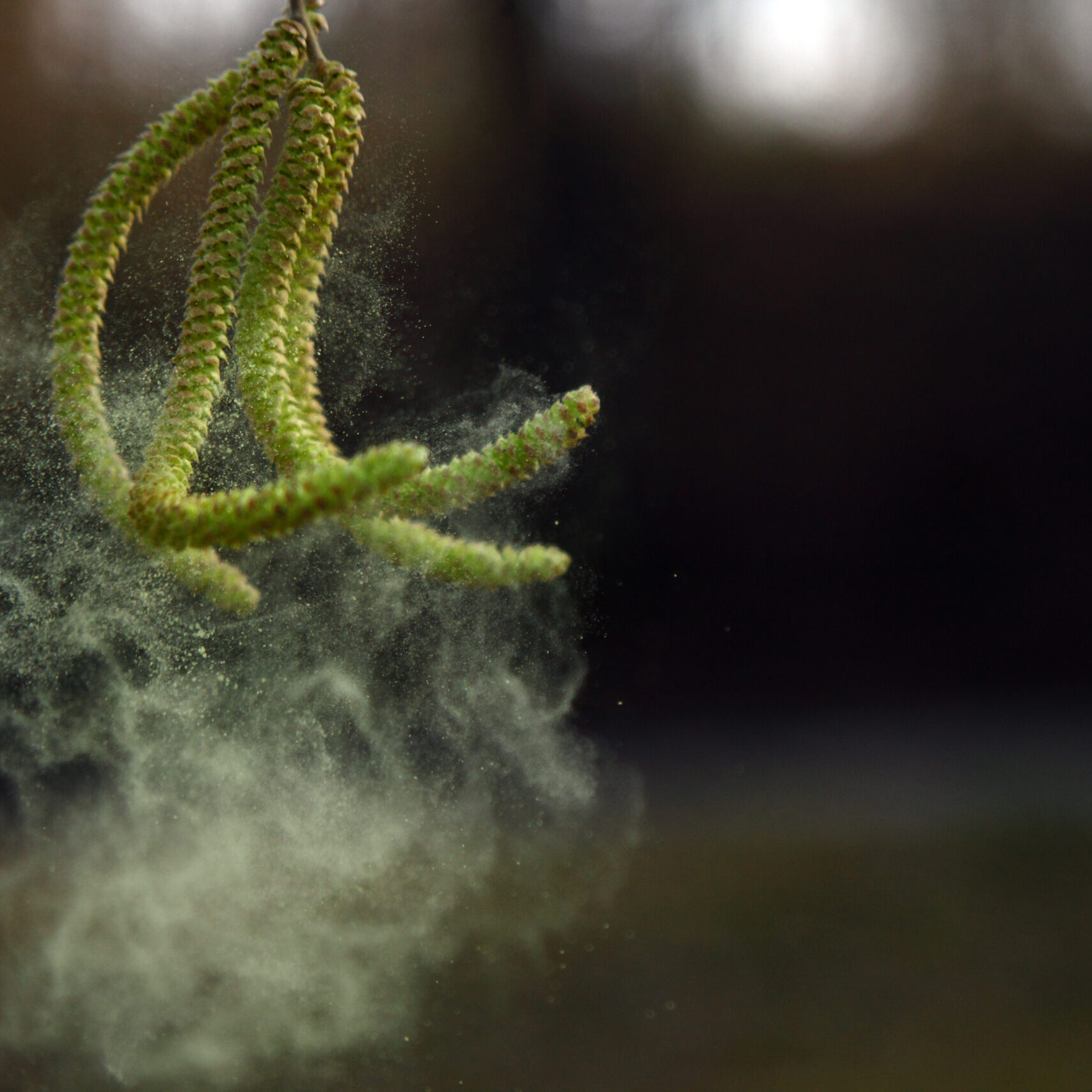 GettyImages-513625972